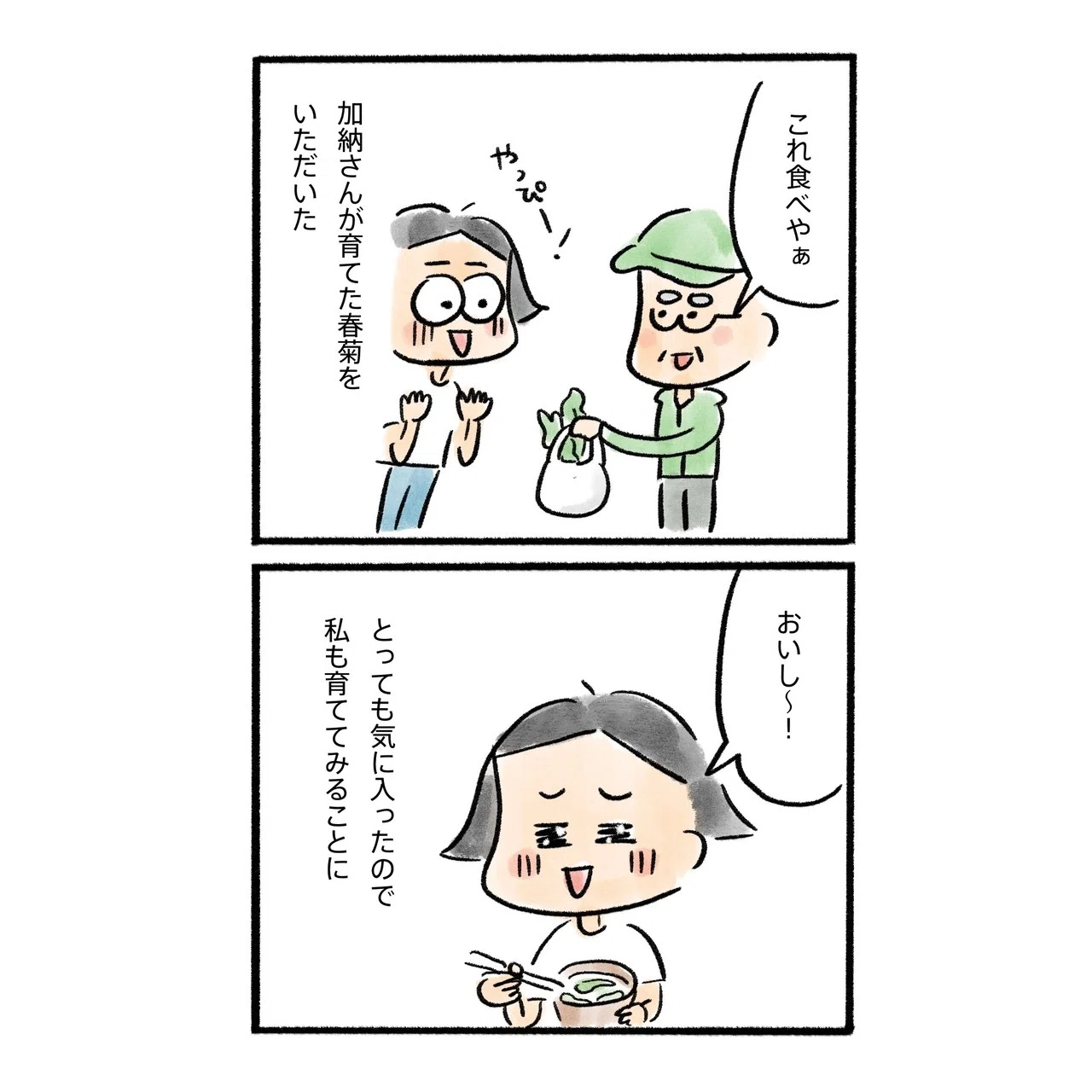春菊のお花ってすっごくキュートって知ってる 三輪 夏生 みわ なつき Note