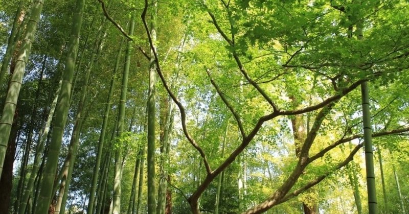 シャンティマントラ の新着タグ記事一覧 Note つくる つながる とどける シャンティマントラ の新着タグ記事一覧 Note つくる つながる とどける