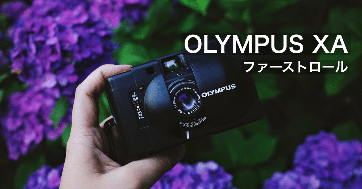 2 OLYMPUS XAの購入と、そのファーストロール|CCC 2 OLYMPUS XAの購入と、そのファーストロール|CCC