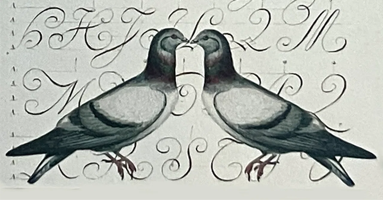レターセットの伝書鳩｜TAMA@斉藤たまき