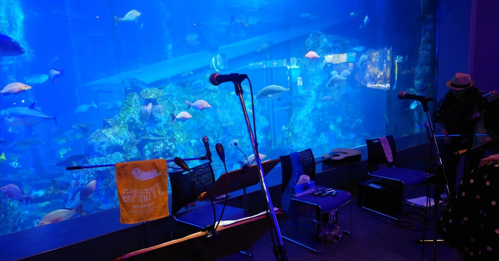 2026.6.13 フラカンミニマル巡業@鳥羽水族館レポ｜ぷくこ
