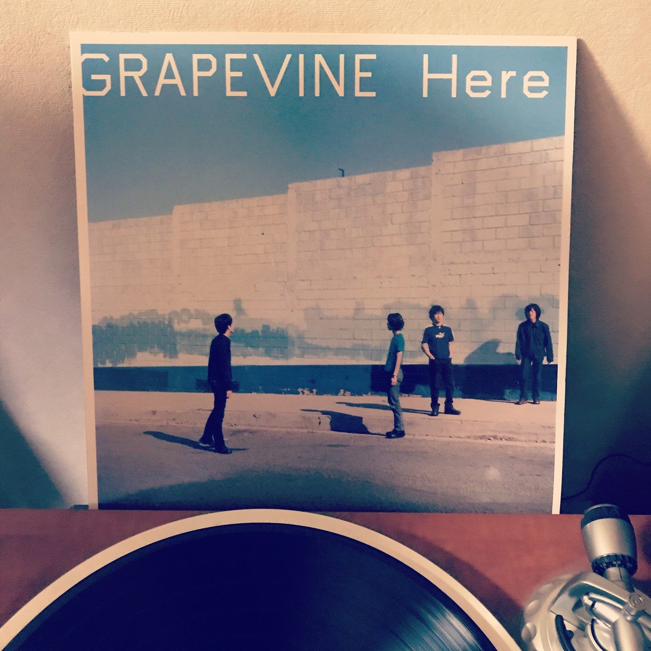 愚かな者の語ること 初回限定 グレイプバイン CD DVD アナログ盤 LP盤風