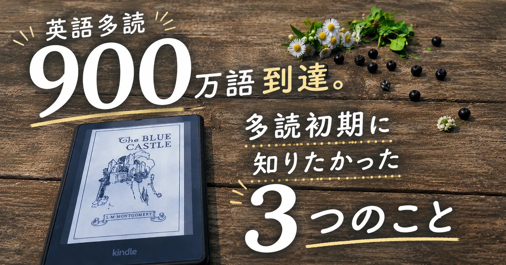 多読 英語 英語多読900万語到達。多読初期に知りたかった3つのこと｜津隈真歩