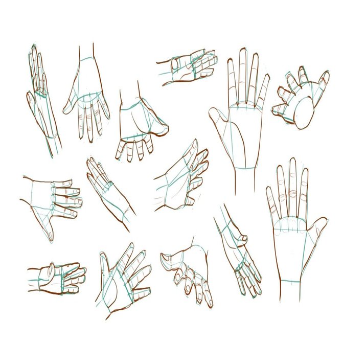 手を描く練習 2 ひらいた手編 手袋戦法の数稽古 峰村 佳 ねむ Note