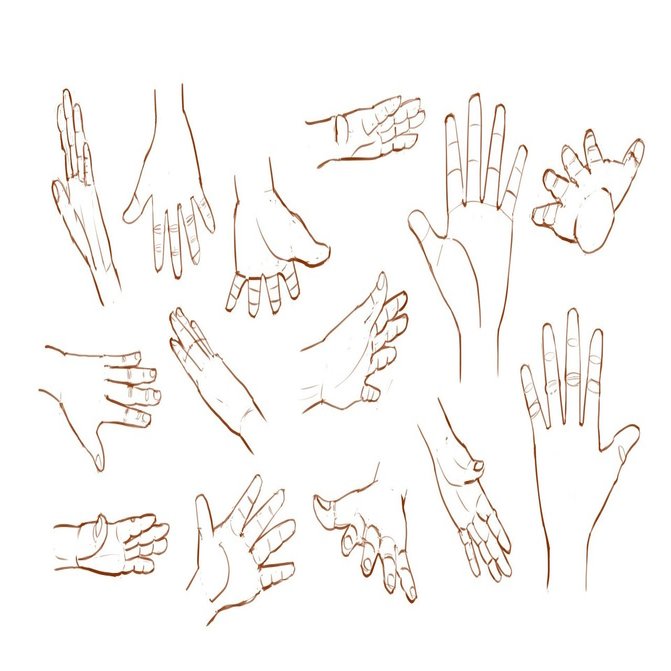 手を描く練習 2 ひらいた手編 手袋戦法の数稽古 峰村 佳 Note