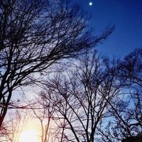アニメの喪失感を乗り越える唯一最大の方法 ノリハラ Note