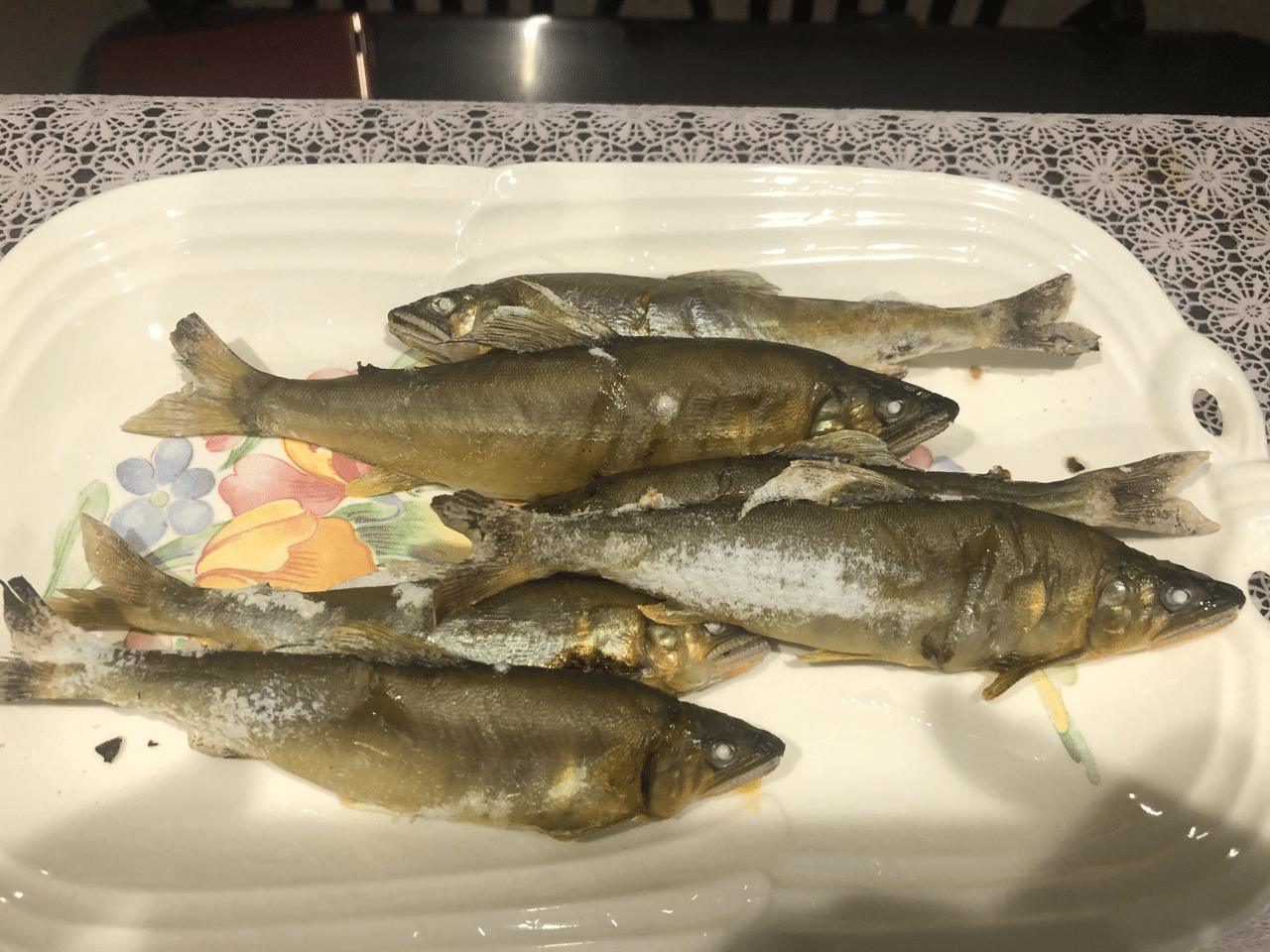 年6月7日の鮎釣り 物部川 佐保祐大 Note 年6月7日の鮎釣り 物部川 佐保祐大 Note