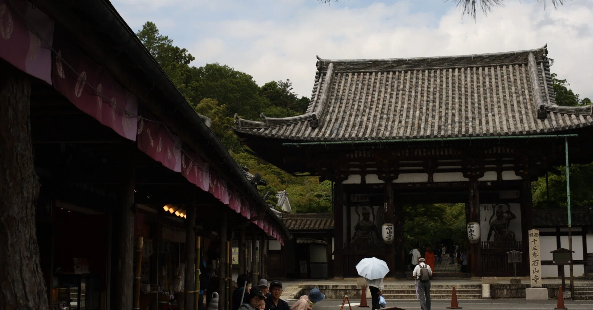 Carl Zeiss復活計画｜撮影日誌⑨ 初夏の新緑をうまく撮りたい 石山寺