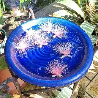 東雲ことは