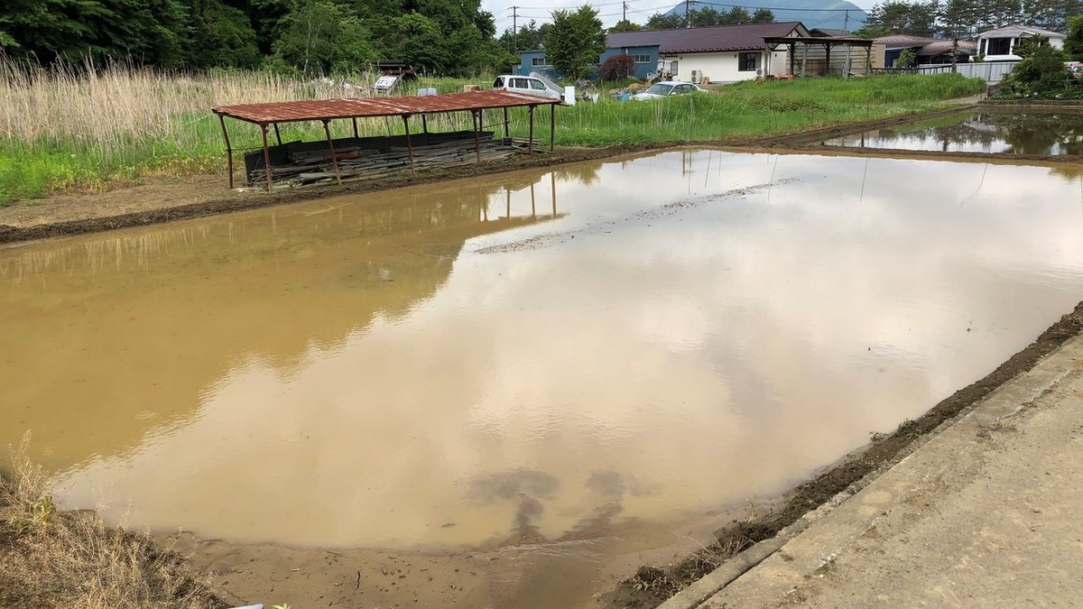 田植え (1)