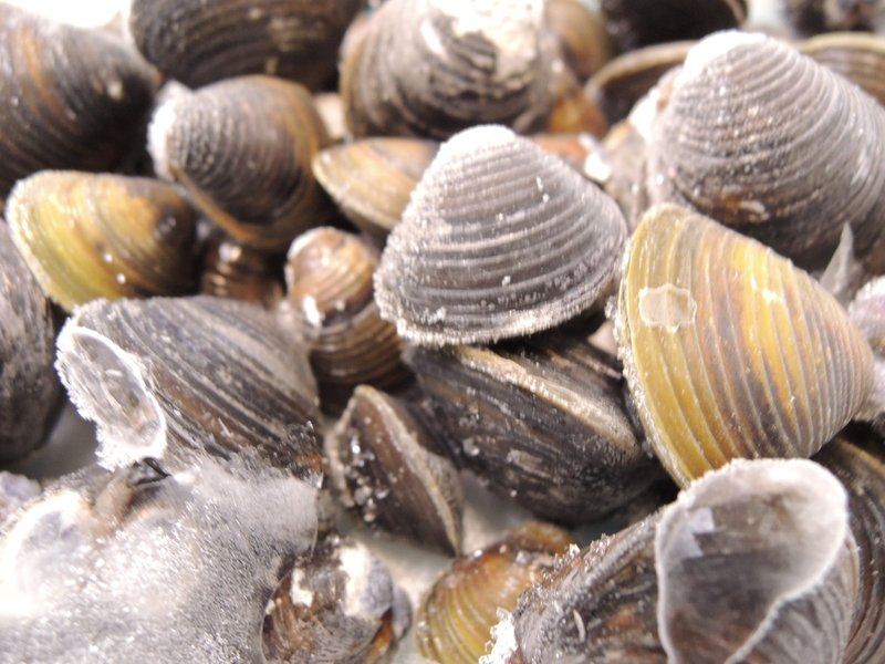 石山寺で1000年前と同じ景色を見る 琵琶近江商店 Note