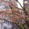 吉浦玲子