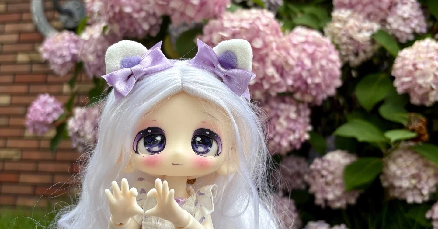 Doll Arrival Record: Sweet Velvet's Shop Window｜趣味助