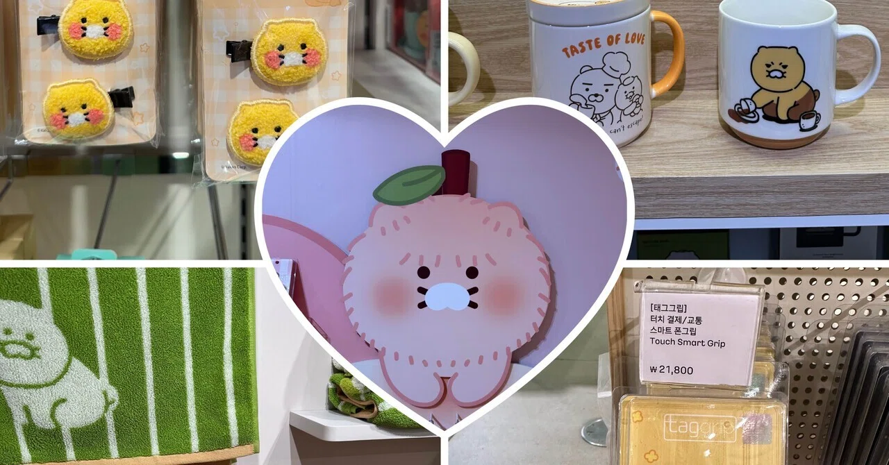 韓国旅行 購入品紹介☺️🇰🇷｜miho