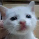暇・人