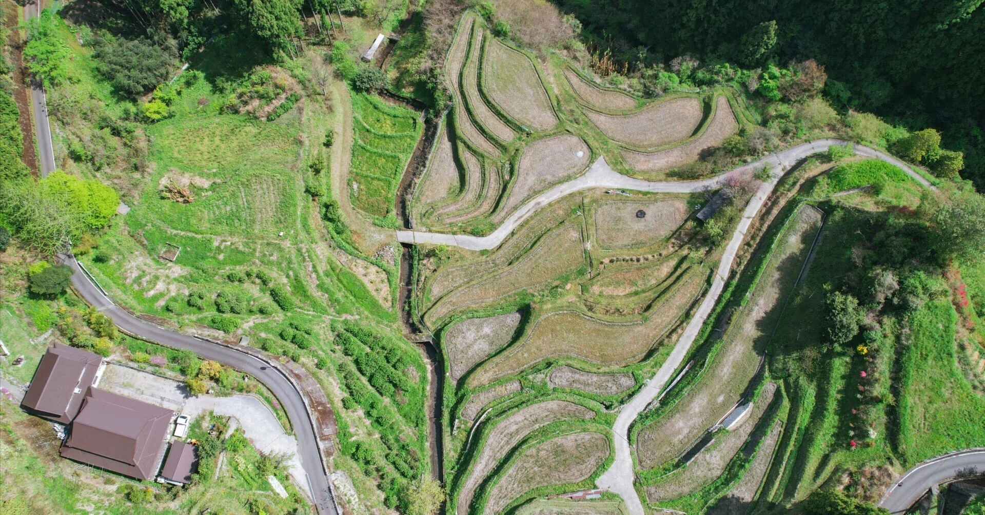 私たちが見ている町の魅力（上勝町編）｜【公式】遊ぶ広報｜暮らしの