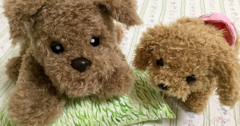 ペットと父 さいとうようこ Note ペットと父 さいとうようこ Note