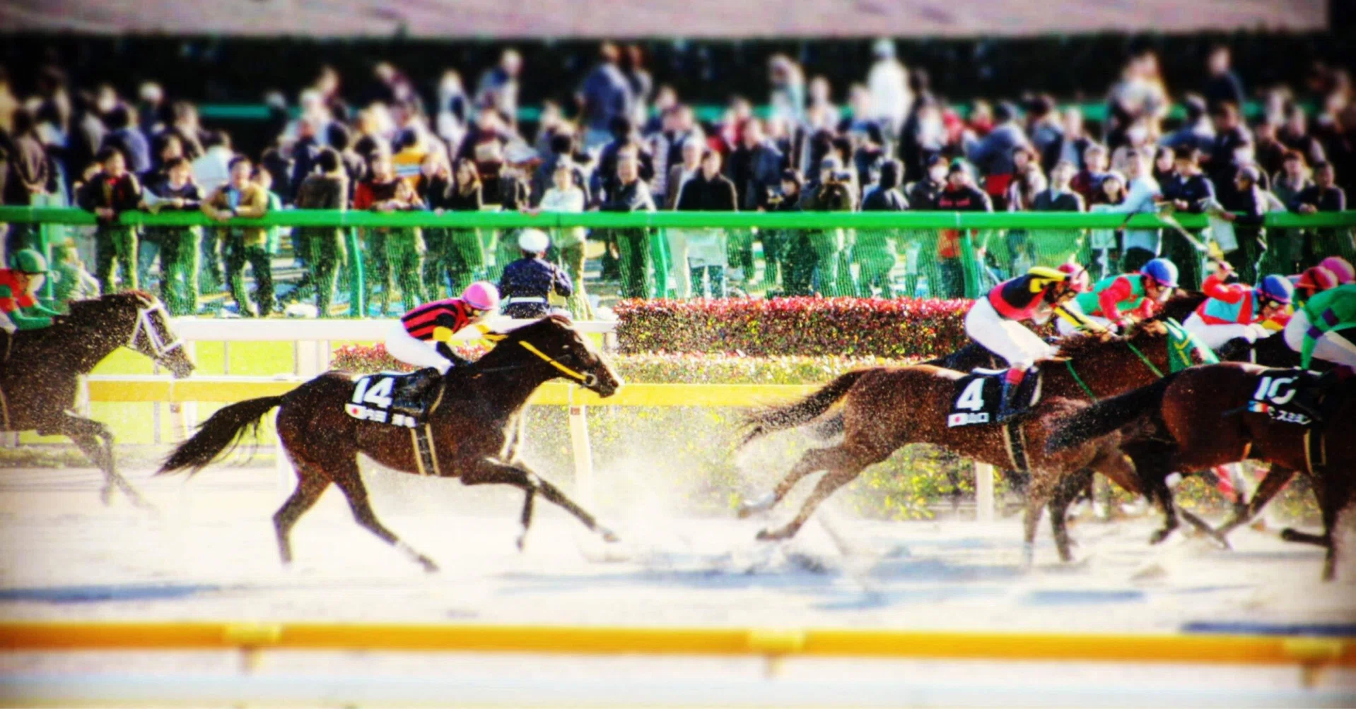 府中 牝馬 ステークス 過去