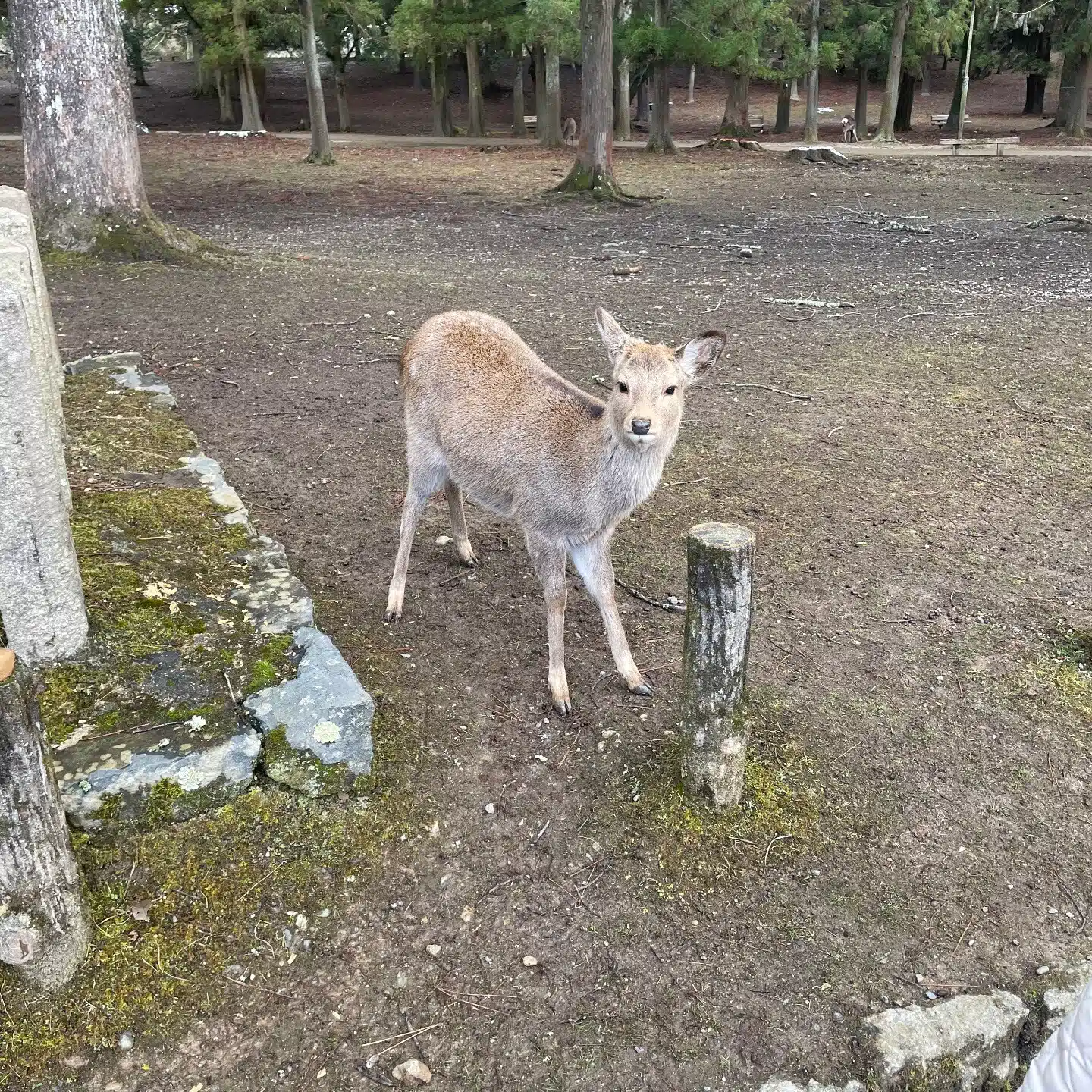 暇人