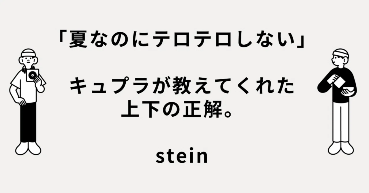 夏なのに、テロテロしない」キュプラが教えてくれた上下の正解。stein 