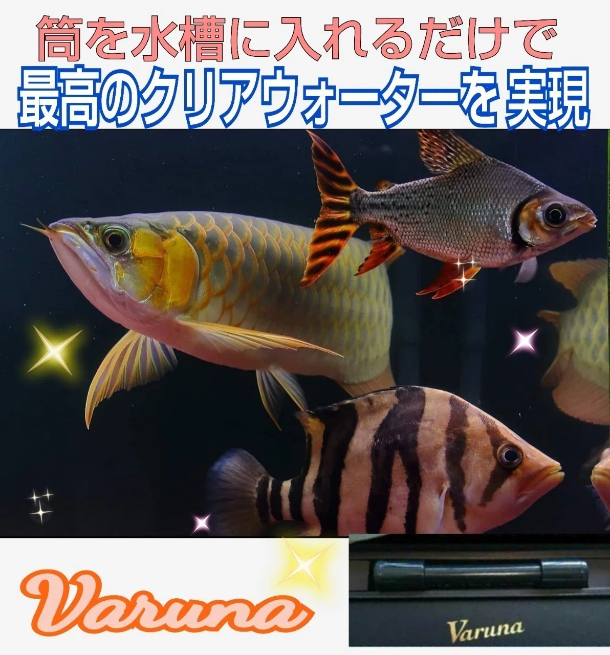 らんちゅうの飼育者絶賛！水槽の水を綺麗に保つ【ヴァルナ】有害物質 