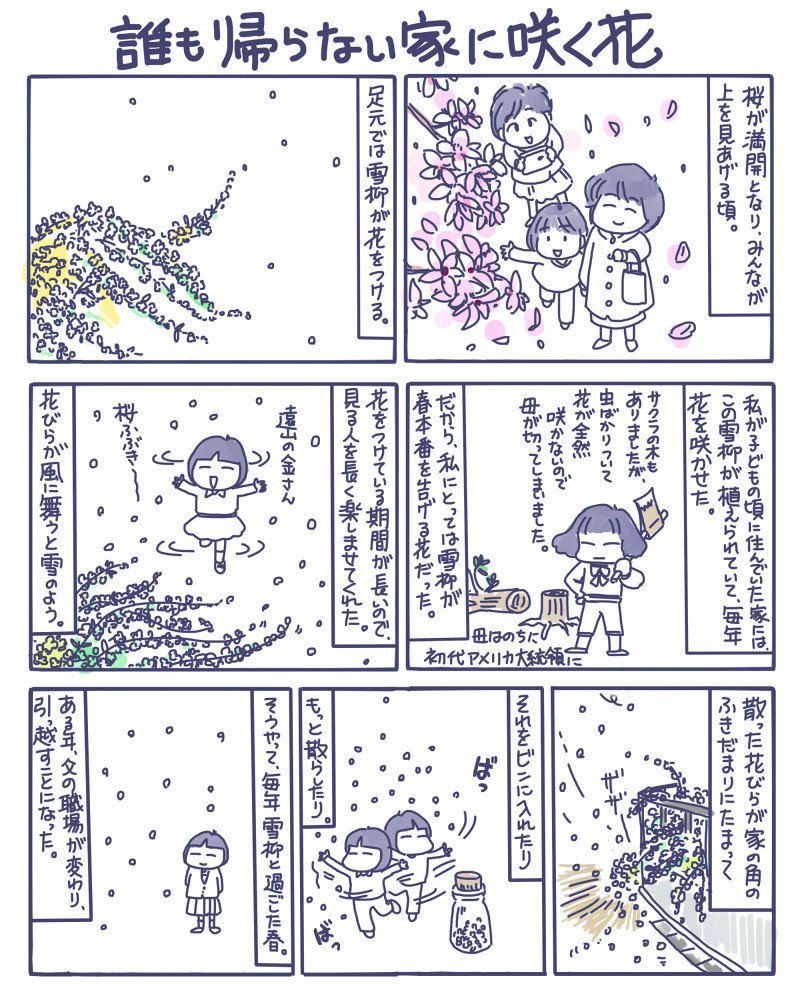 雪柳1