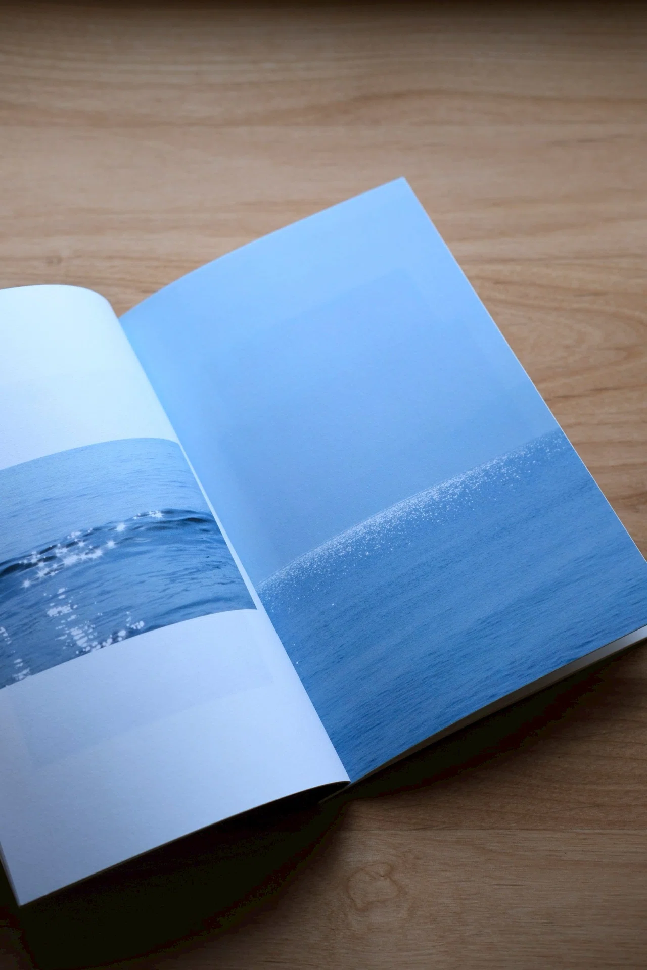 先輩と作った琵琶湖だけの写真集、ZINEフェスで初お披露目｜湖畔えり
