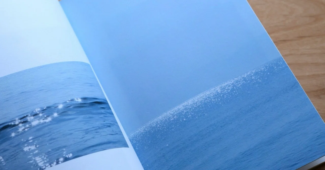 先輩と作った琵琶湖だけの写真集、ZINEフェスで初お披露目｜湖畔えり
