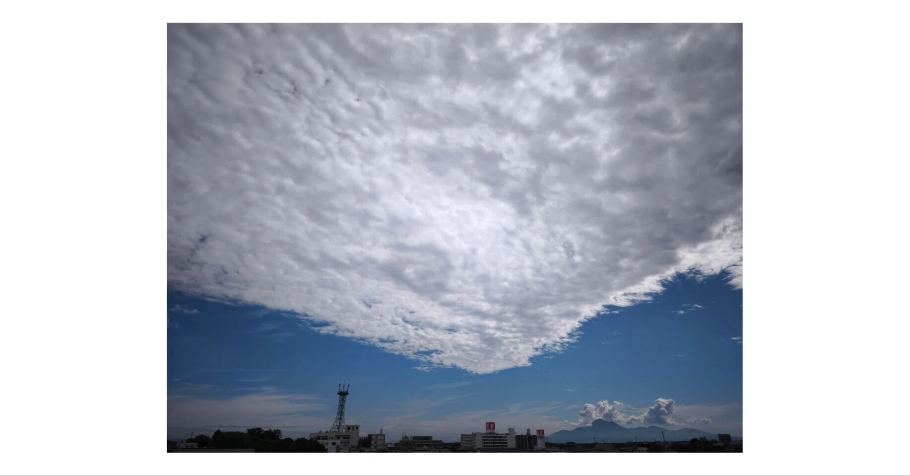 梅雨さま用ページ 6月17日（水） 梅雨の間の楽しみを見つけないと｜furukuma