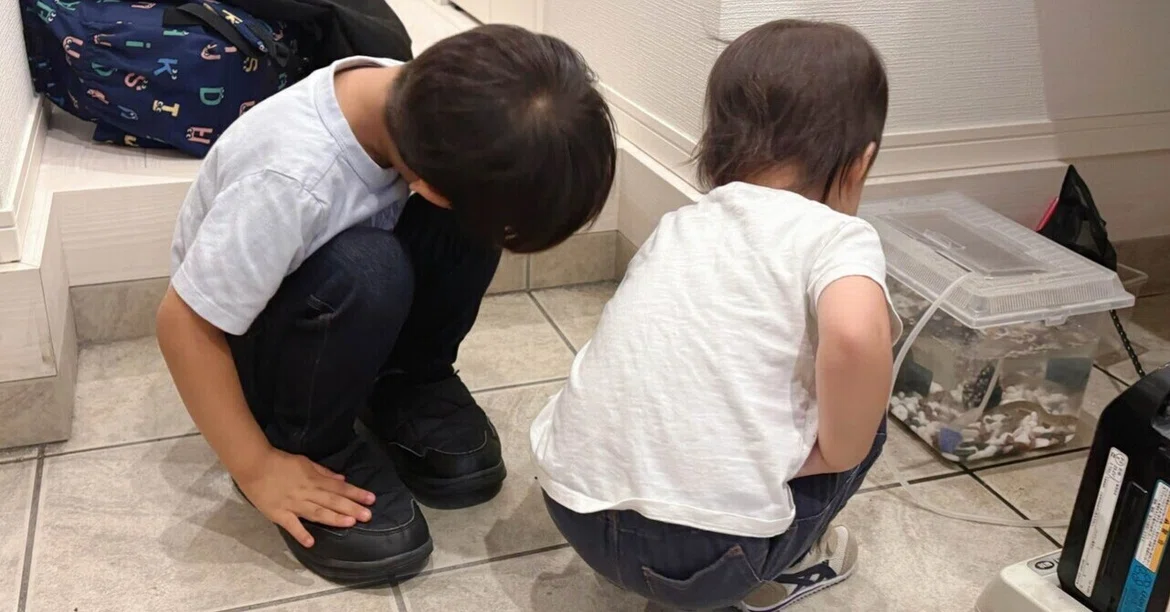My hands are full with two kids. Still, here is why I keep loaches.｜清宮 ...