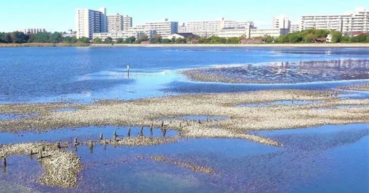 関東地方］湿地の整理｜ふぃっちの本棚（中学受験社会）