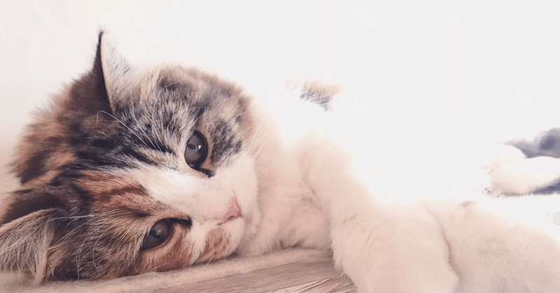 枕なし睡眠のススメ ななつき Note