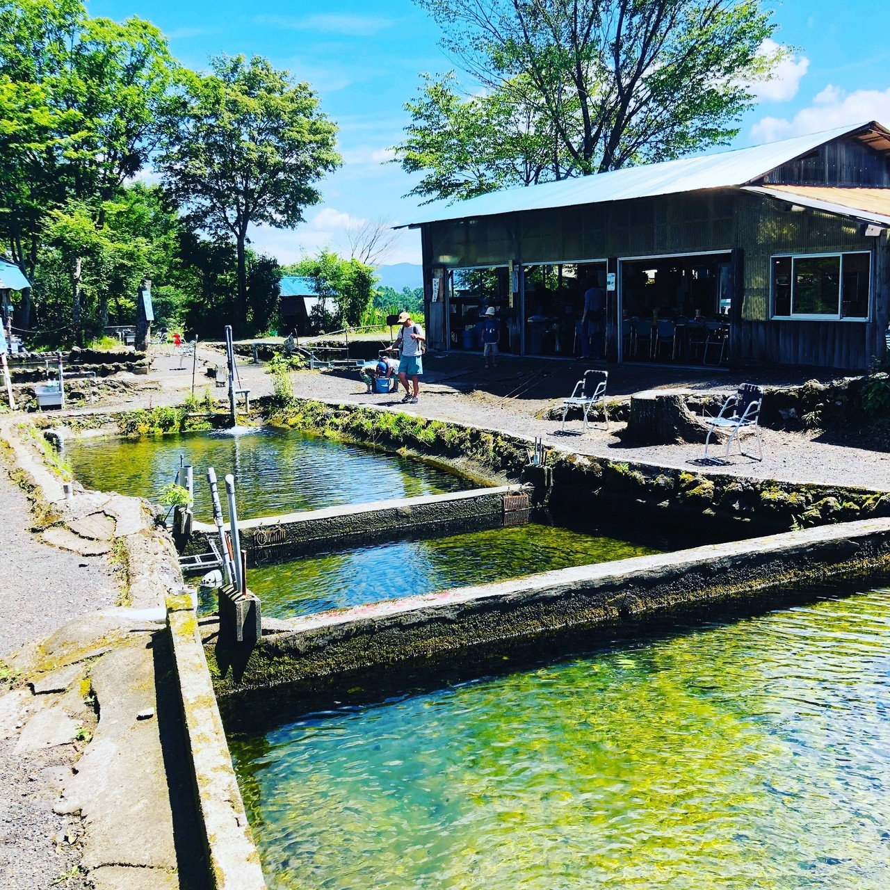 夏でも涼しい北軽井沢での過ごし方 ゲストハウスジャパン Note