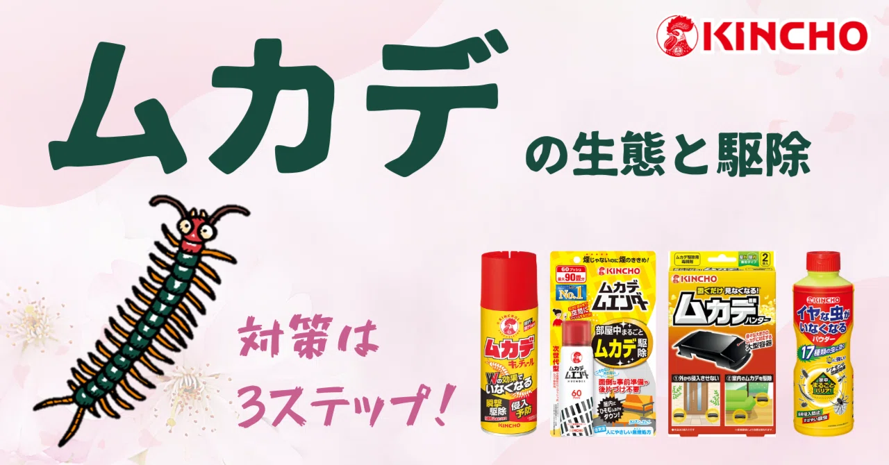 ハエ～進化を極めた小さな精密機械｜KINCHO公式note 大日本除虫菊株式