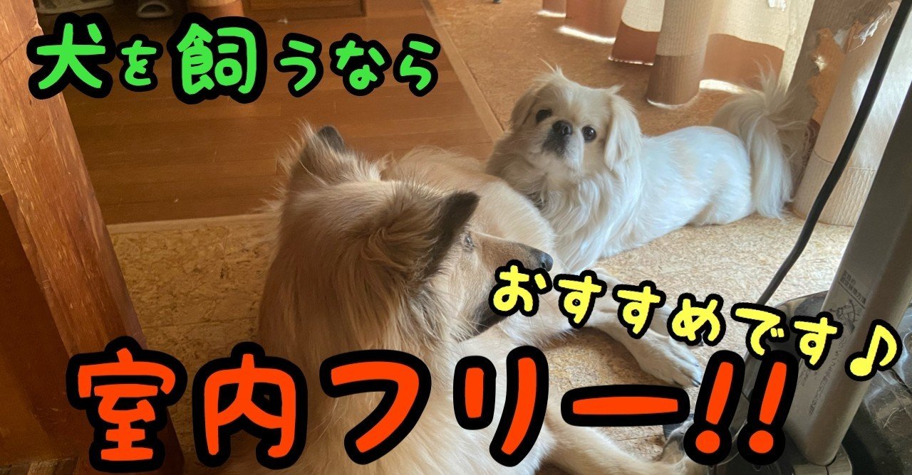 わんちゃんを室内で飼うなら室内フリーがオススメです ドッグライフサポーター 獅子パパ Note