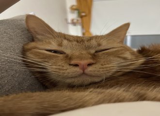 人生に迷ったら知覧に行け Noka Note