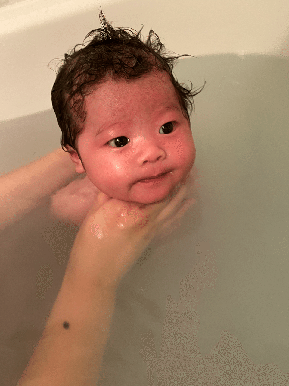 てんちゃん初めて湯船に浸かる 大人への一歩 ちょんパパblog Note てんちゃん初めて湯船に浸かる 大人への一歩 ちょんパパblog Note