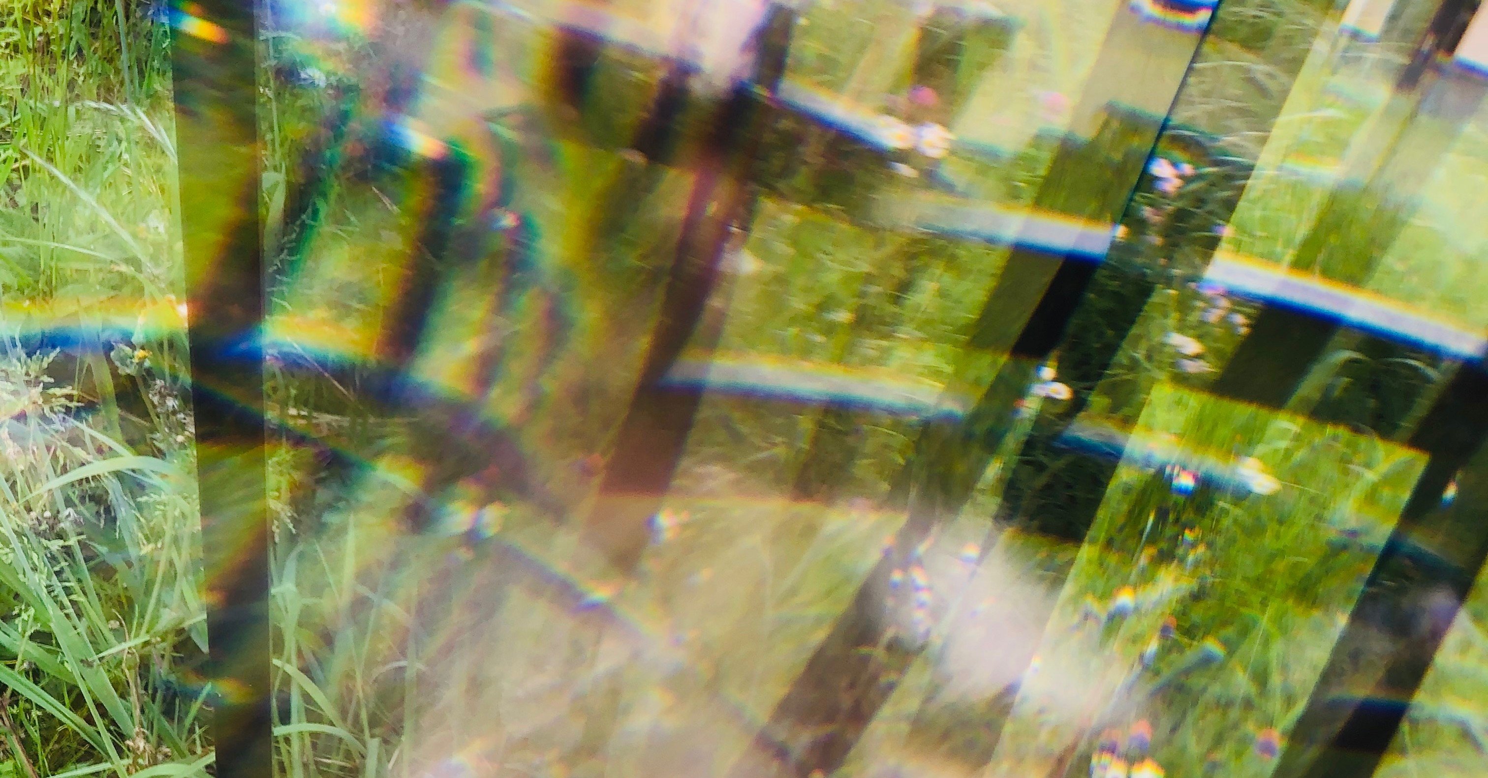 意図的な ブレ と ぼかし の楽しみ方 とらみな 寅三奈 Note