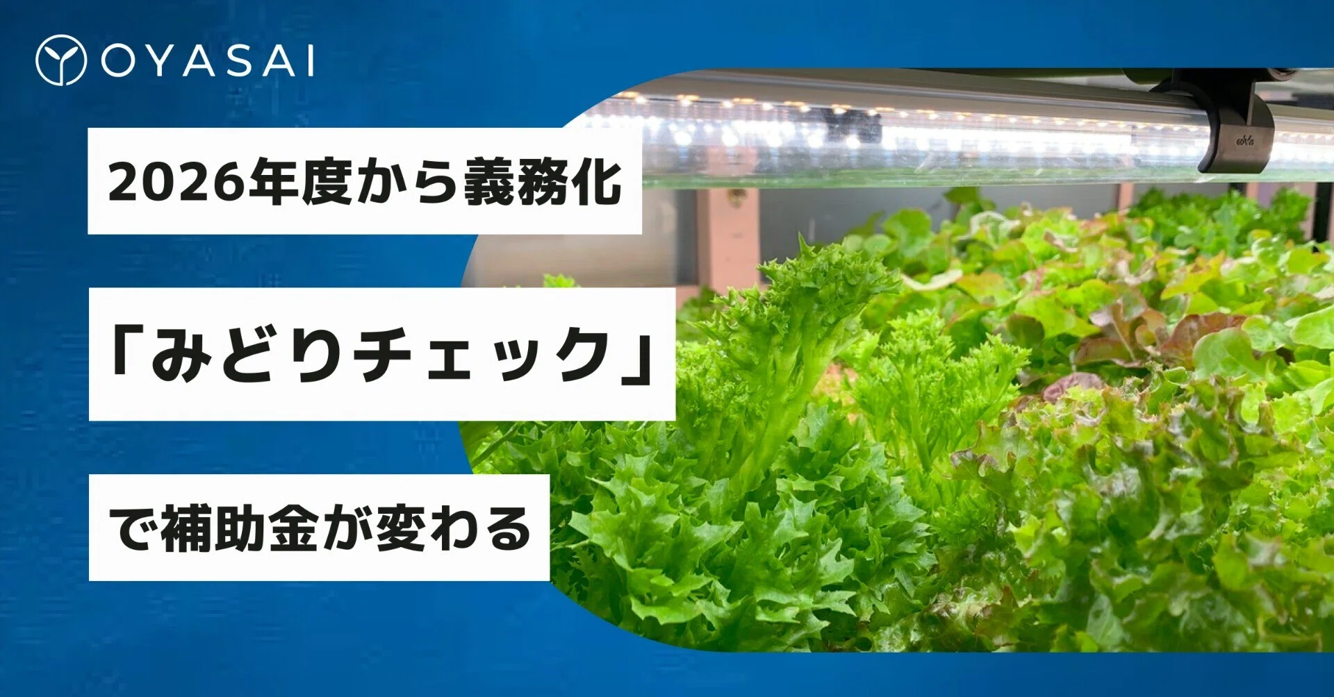 2026年度から、農水省の補助金は「環境配慮」が前提に。「みどり