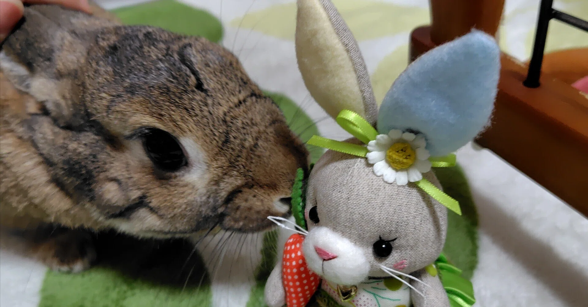 おひさまハウス ぬいぐるみ 🐇【おひさまハウスのぬいぐるみ展】行ってきました｜mike