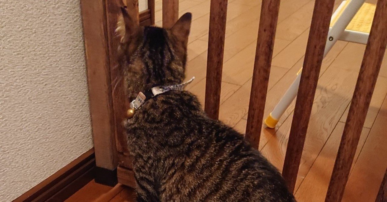 猫脱走防止扉を作ってみた キャットハウスまいける Note 猫脱走防止扉を作ってみた キャットハウスまいける Note