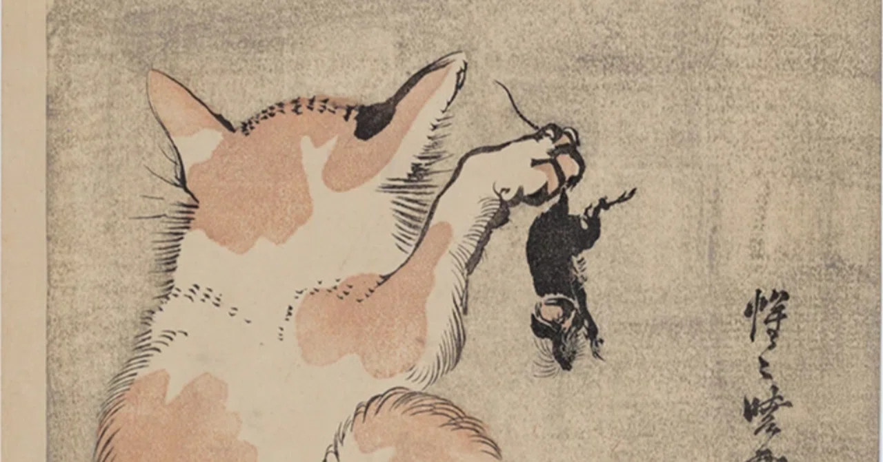 河鍋暁斎の世界」展出品作⑧暁斎《猫の月見》明治13-22年頃（1880年代
