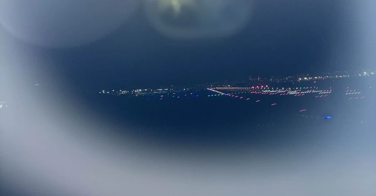 èŠåºãç»å