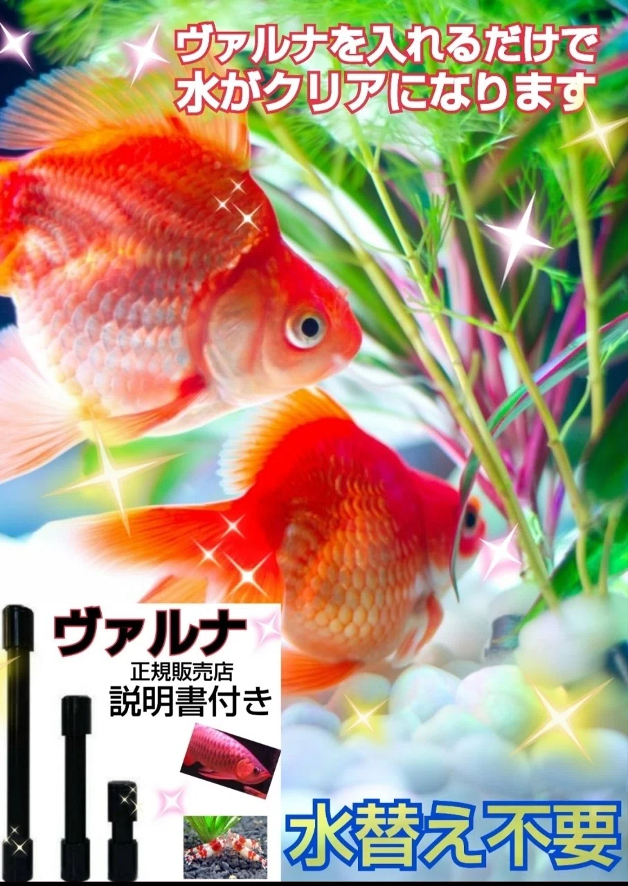 ヴァルナ｜iketeru_1130