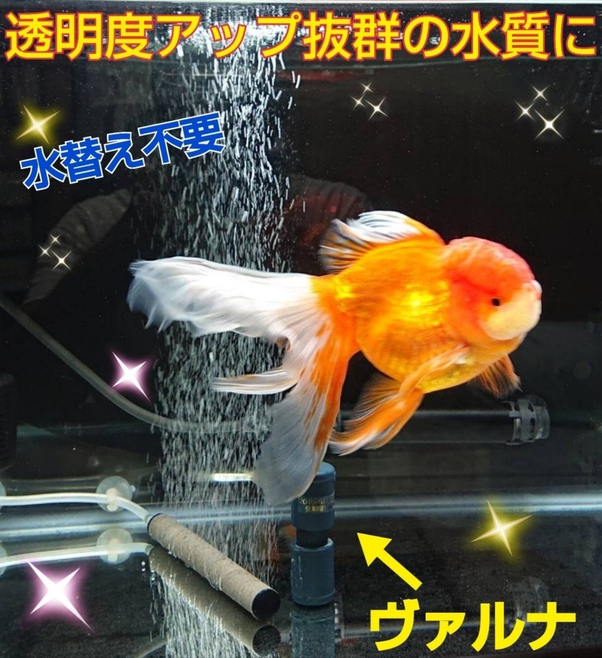 ヴァルナ|iketeru_1130 ヴァルナ|iketeru_1130