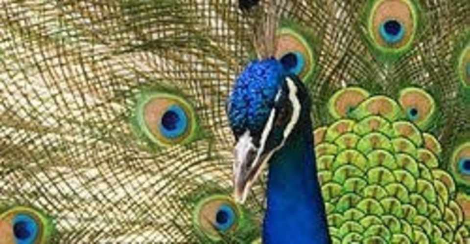 2020最後の最大吉日にマックに走る Nk Srh Note