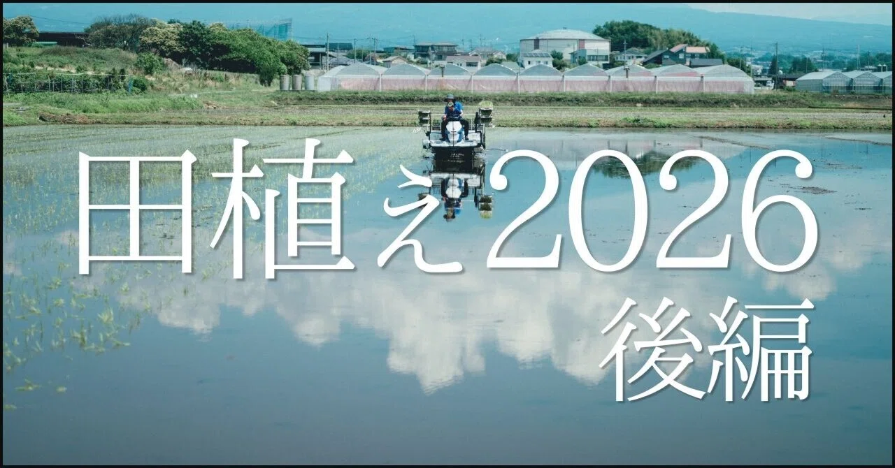 田植え2026後編｜ハシモト