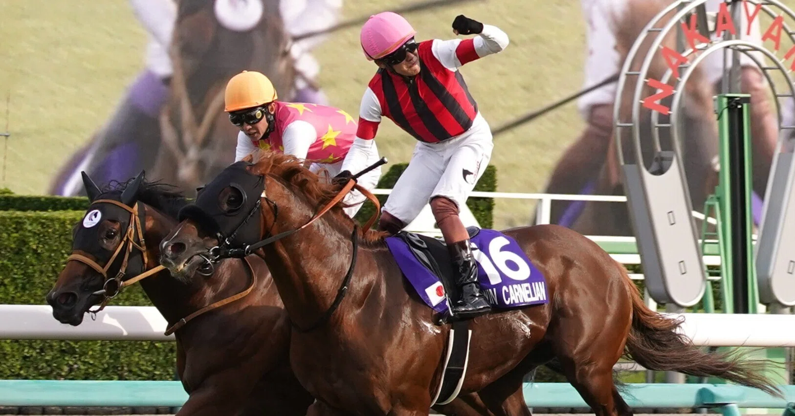 傘松と馬 しらさぎSの馬券を当てよう!!! ひら砲note版、今週末のGⅢを制す馬は