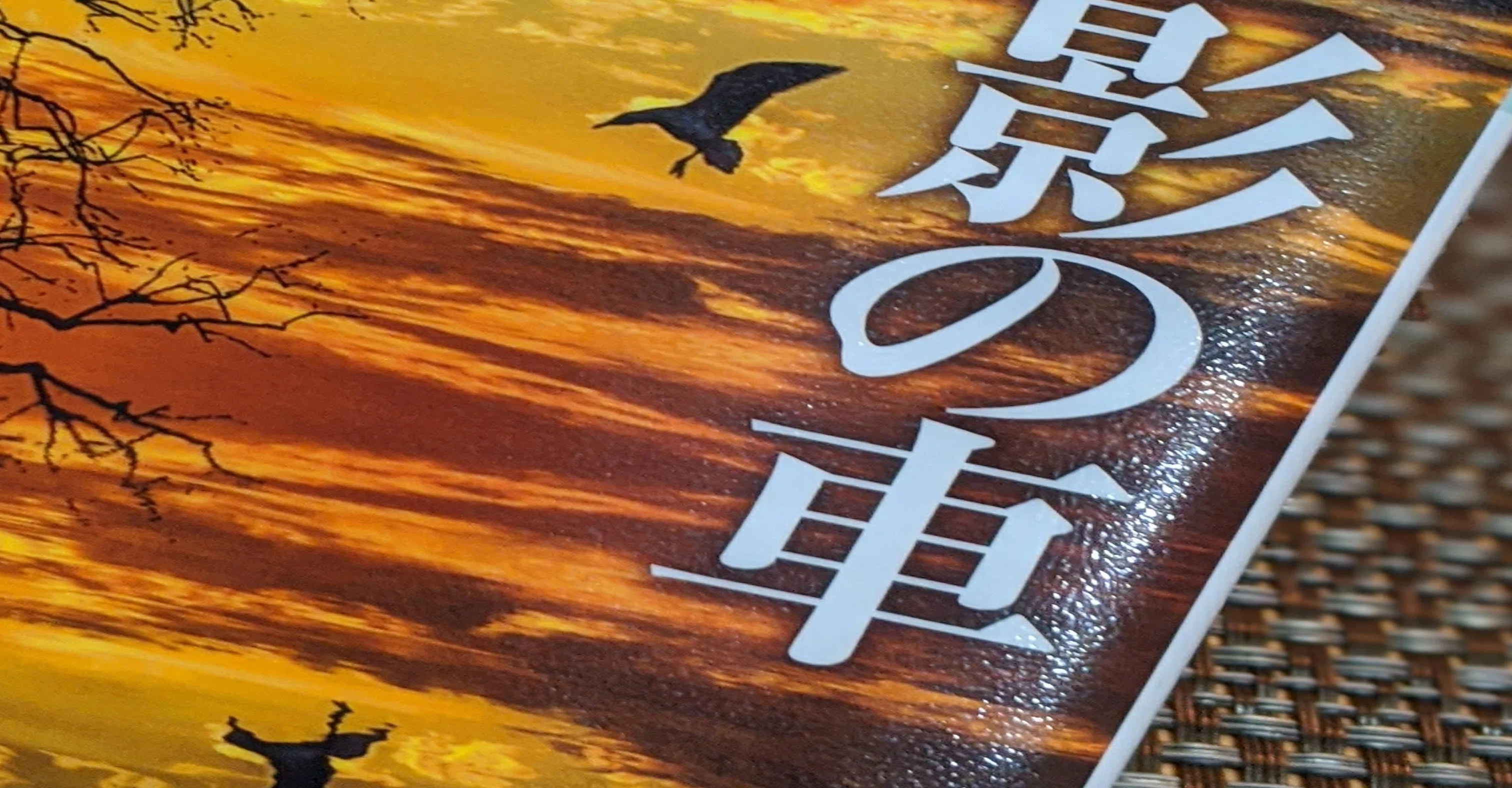 3F 【希少】松本清張 3冊セット「影の車」「黒地の絵」「喪失の儀礼」 Amazon.co.jp: 喪失の儀礼 (新潮文庫) : 松本 清張: 本
