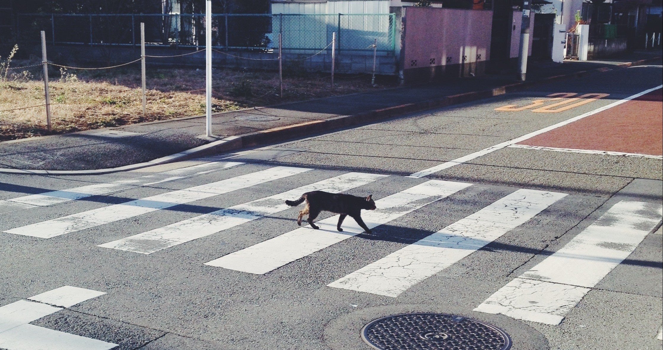映画感想 隣人は静かに笑う 藤原秋人 Note